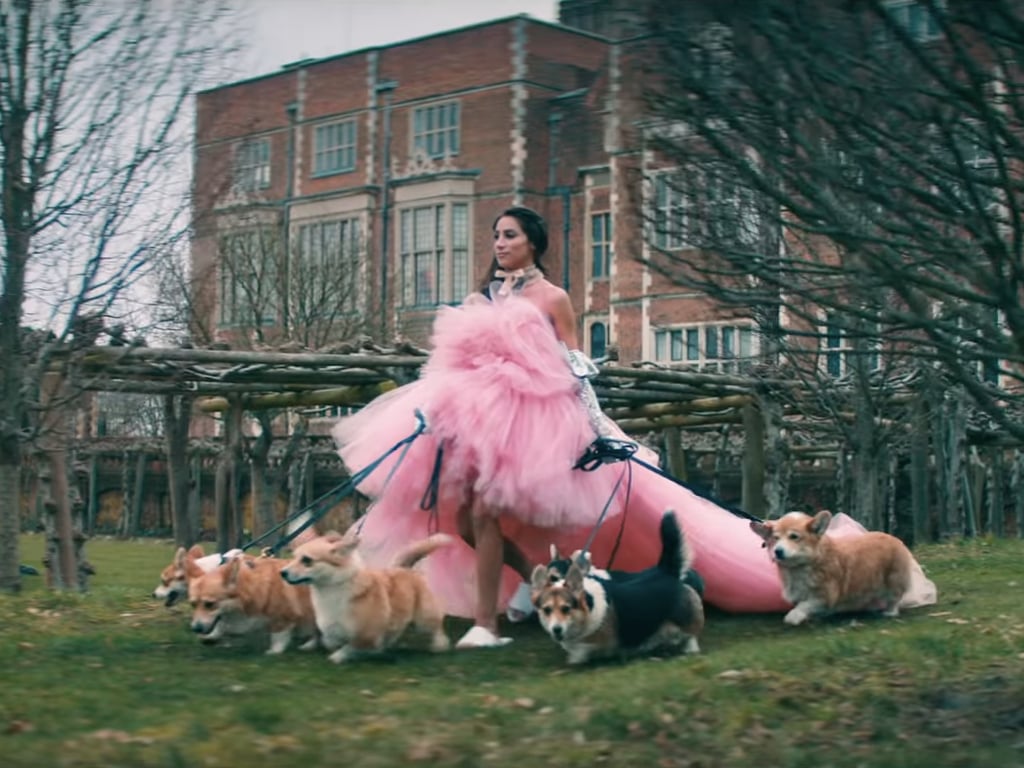 Jonas Brothers Celebrity-inspired Halloween costume