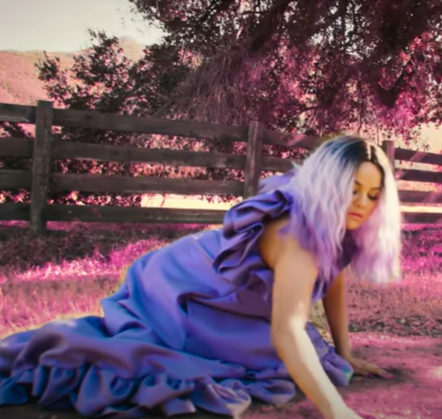 Selena Gomez Celebrity-inspired Halloween costume idea