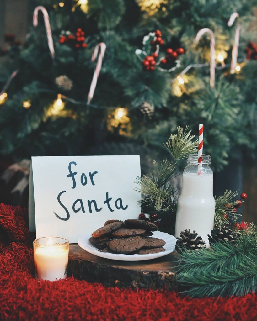 christmas photoshoot cookies placed out for Santa