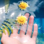 skincare-routine-in-summer