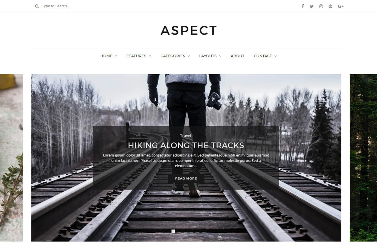 fashion blogger themes