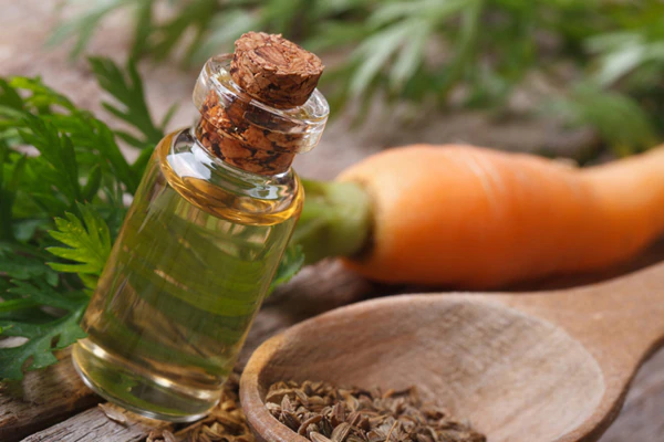 benefits of carrot oil