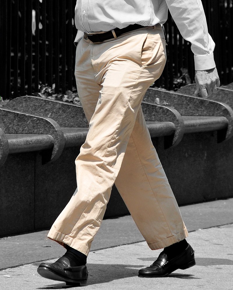 TROUSERS 7321