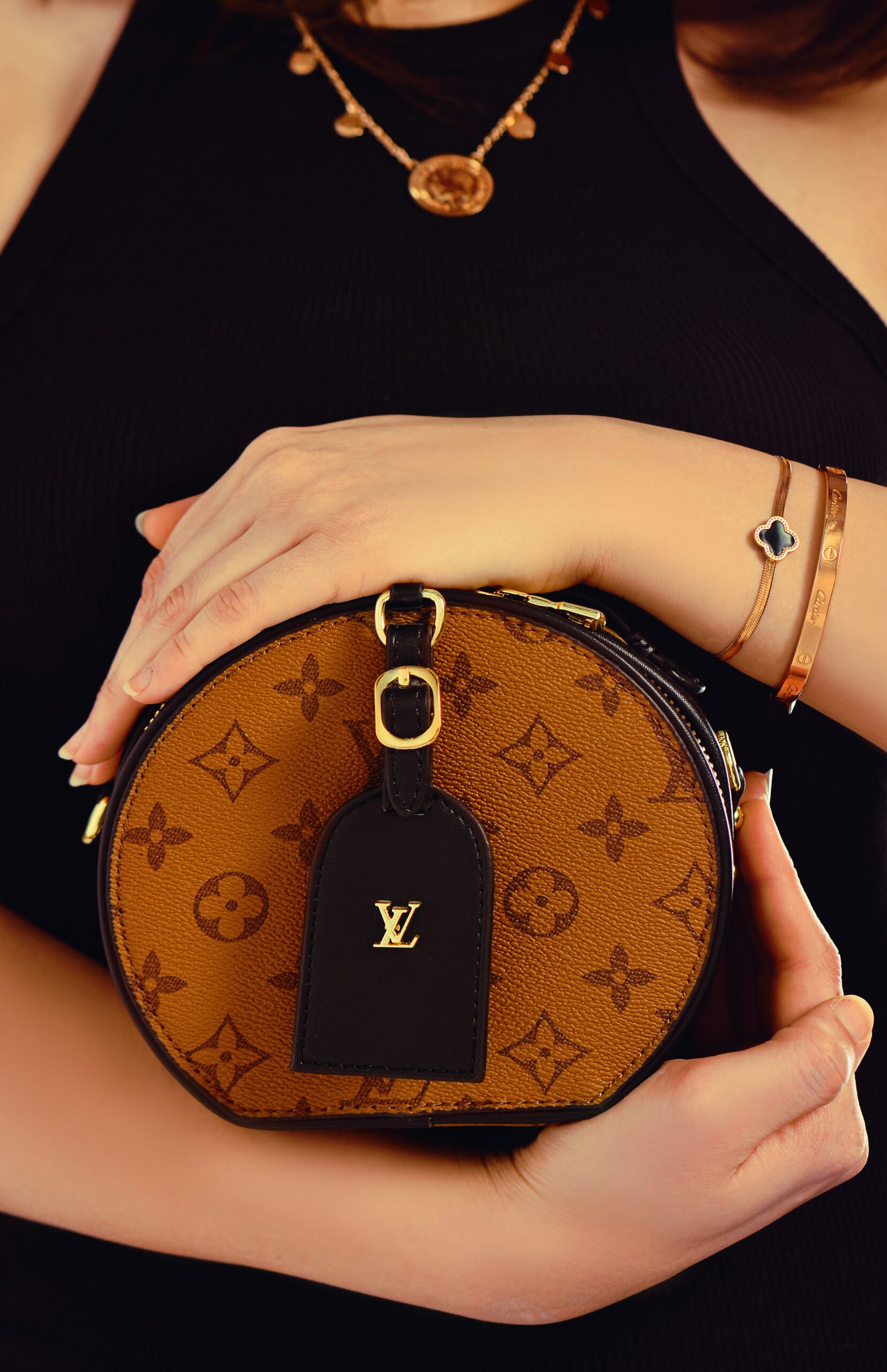 Louis Vuitton Bags 2