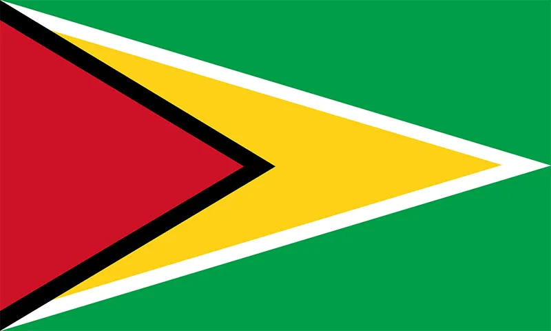 Stylish Country Flags Guyana