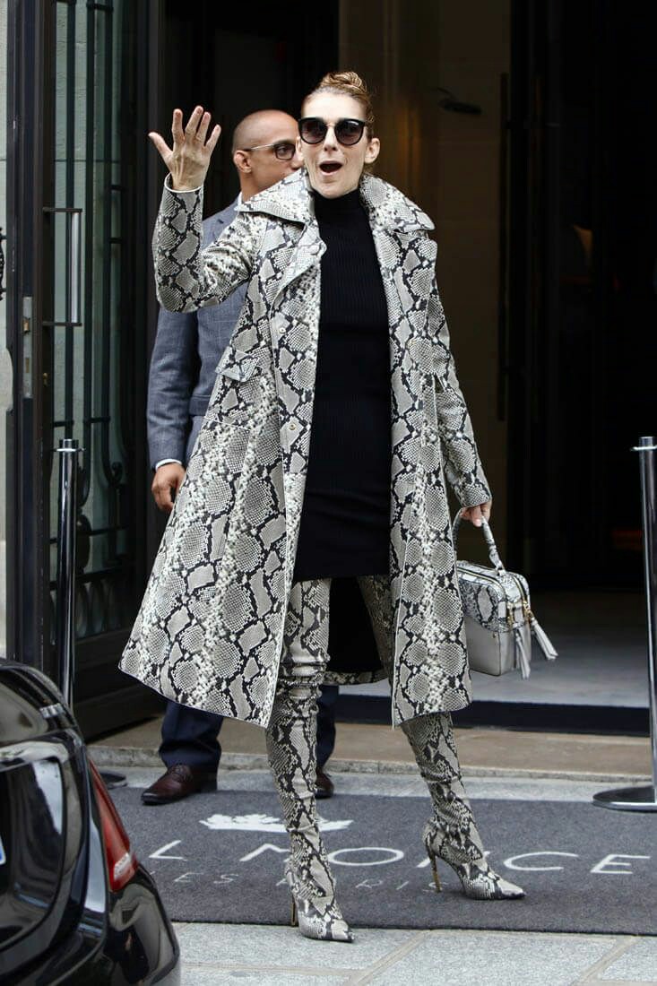 Animal Print Outfits #2. Double snake print: Celine Dion. 