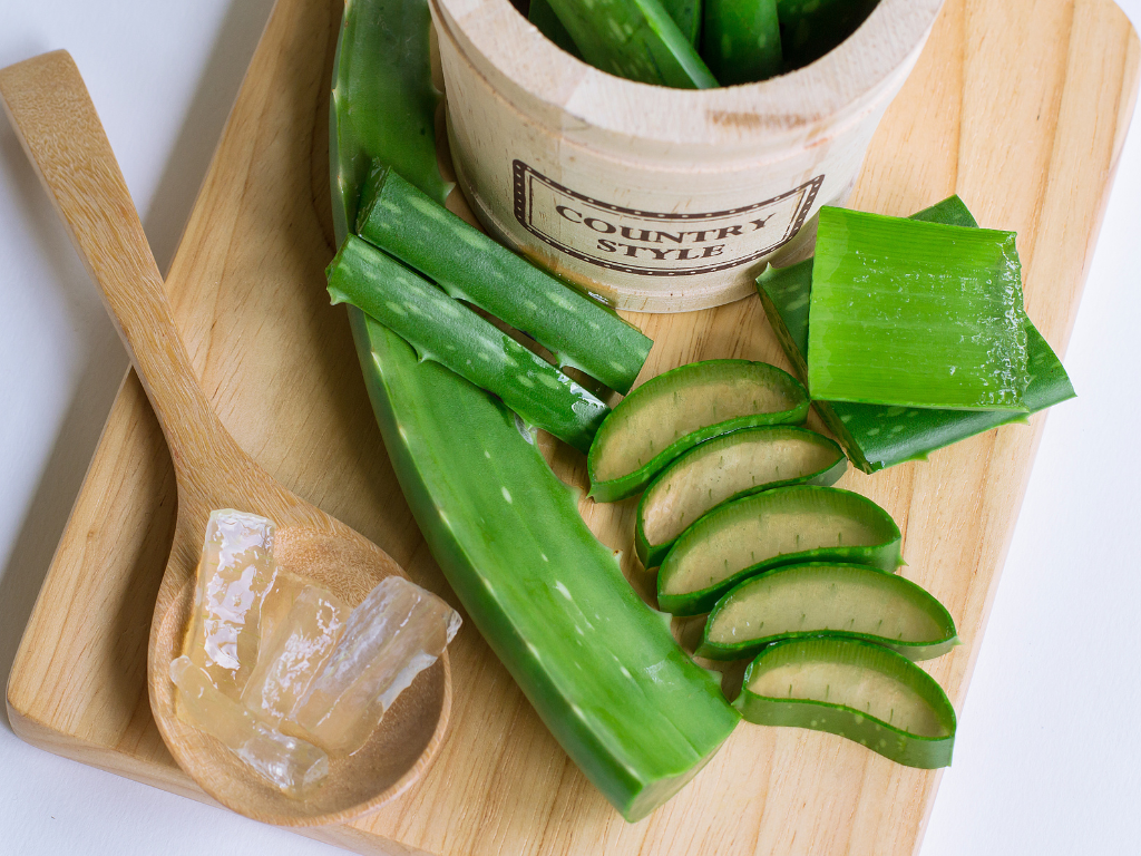 Uses of Aloe Vera 1