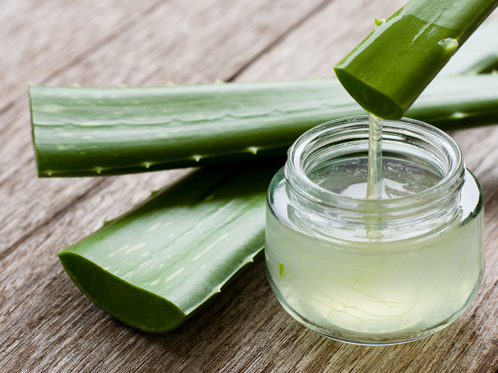 uses of aloe Vera