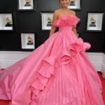 Red Carpet Dresses 2022