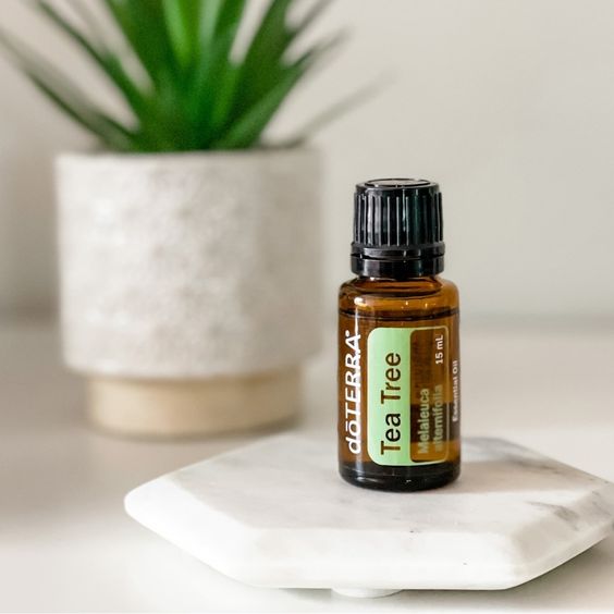 tea tree oil