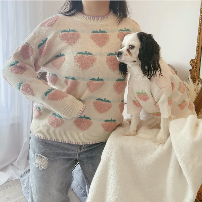 woman and dog in matching strawberry sweaters.