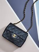 Chanel bag 1