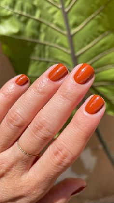 nail shades for fall 23