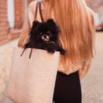 bag with dog in it