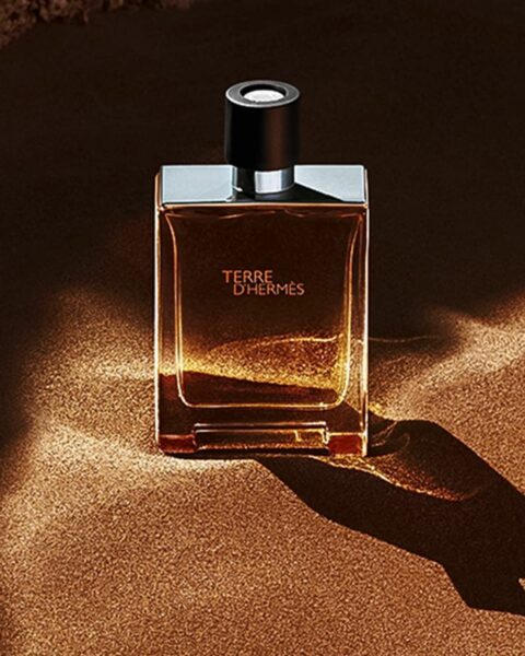 perfumes for men Terre d Hermes