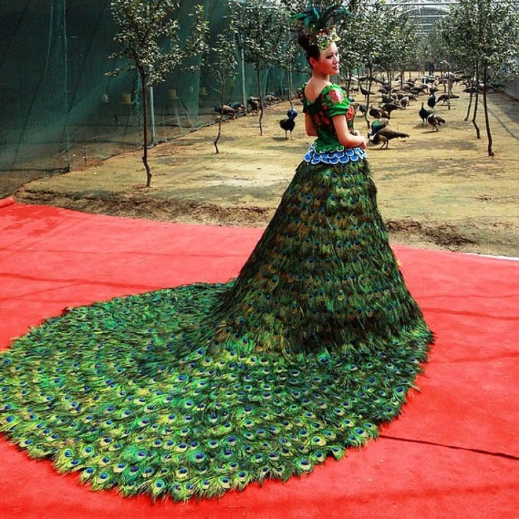 Peacock Wedding Dress