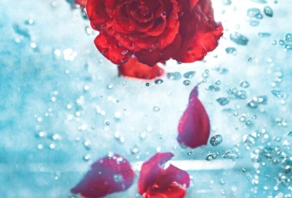 How to Take Care of Your Nails - rose water