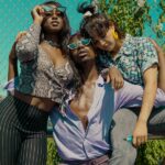 perfect look cover image