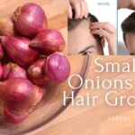 Small Onion for Hair Growth