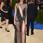 Kendall Jenner red carpet cover image