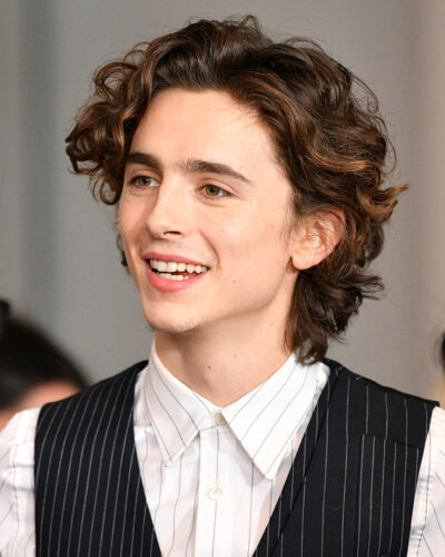 Timothée Chalamet style