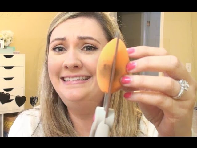 mold removal mold on a sponge