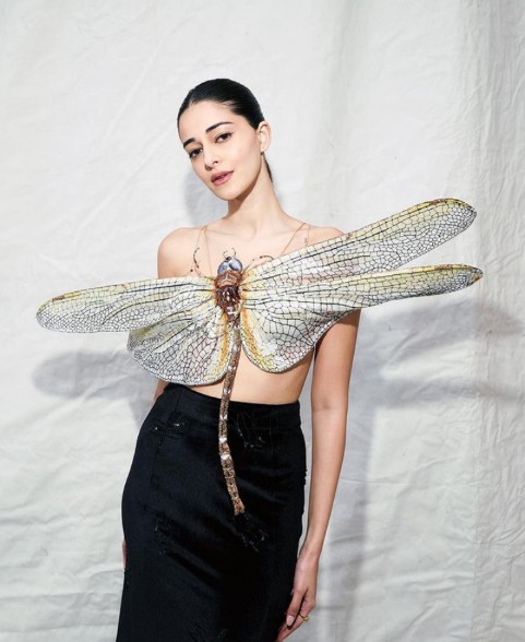 dragonfly top