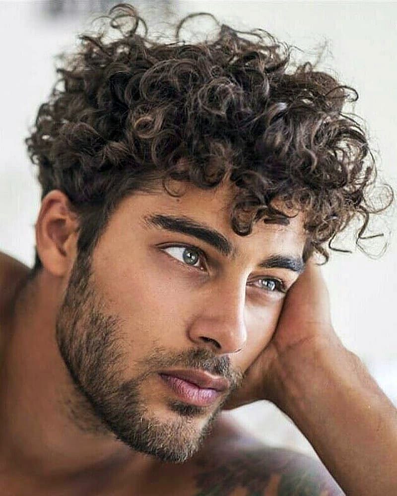 Afro Curly hairstyles for men