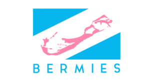 Bermies logo