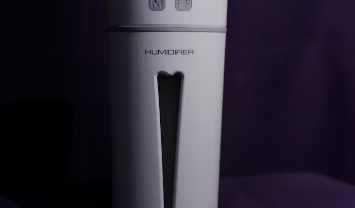 Tips for Treating Dry Skin: humidifier