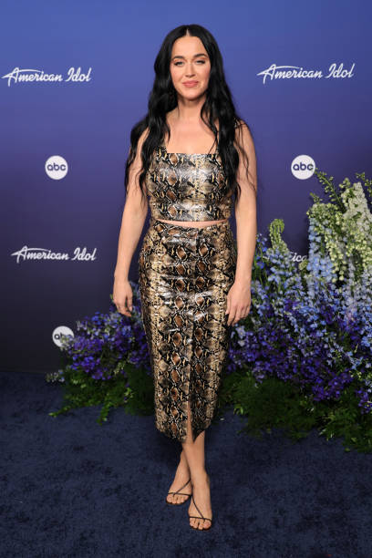 Katy Perry Fashion American Idol