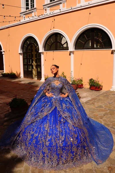 Quinceanera dresses 5