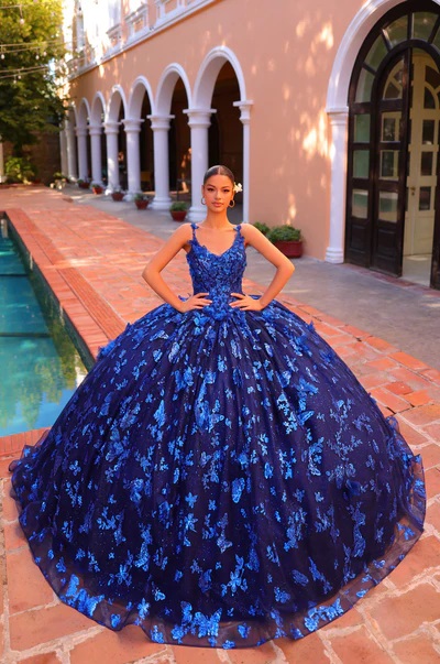 Quinceanera dresses 6