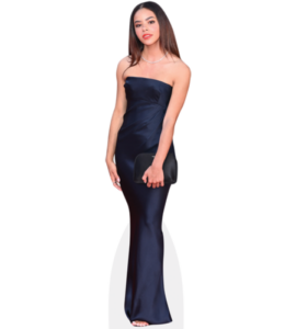 Sara Waisglass sexy hourglass dress