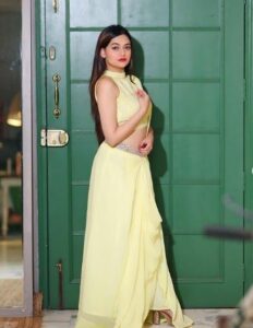 vaishnavi-multitalented-artist