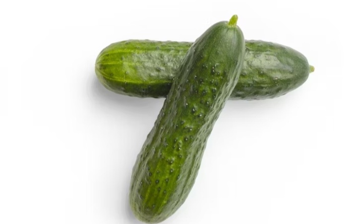 Cucumber