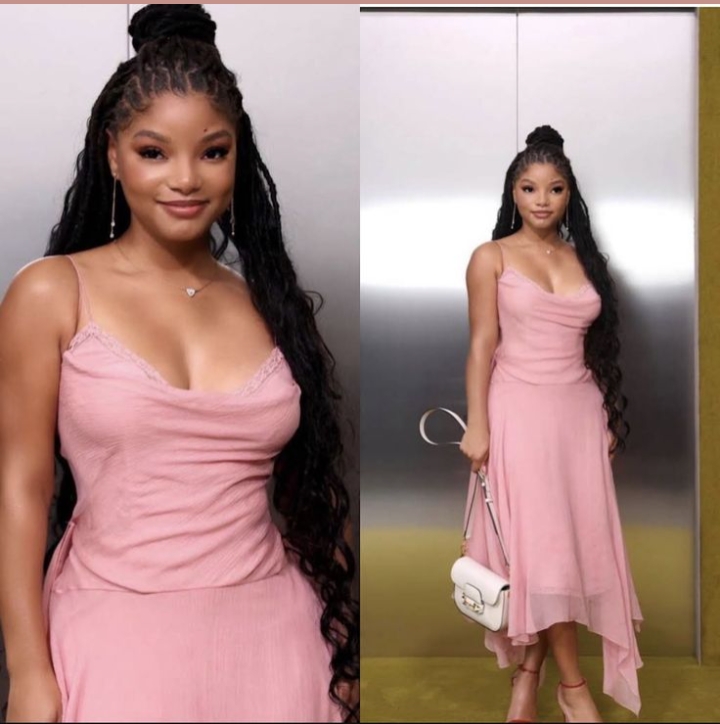 Halley Bailey hairstyles half up and half down braided