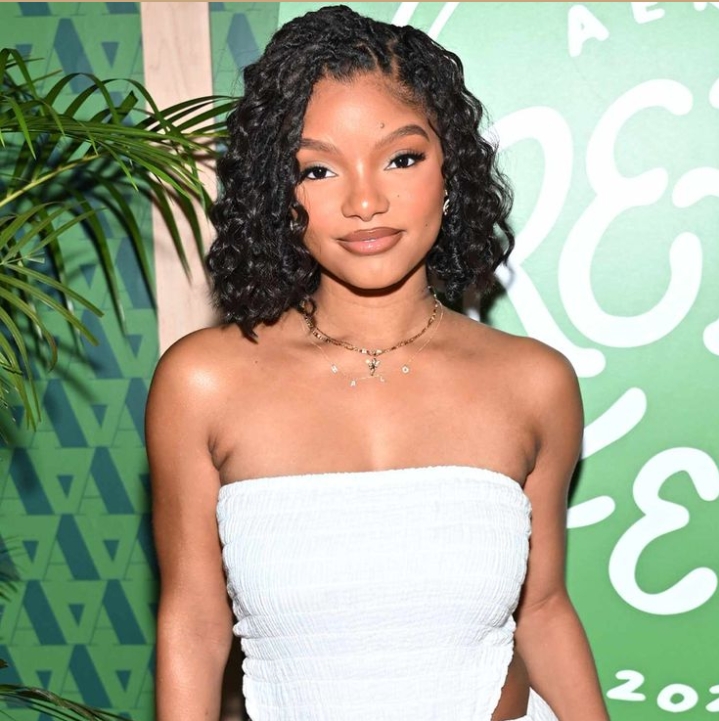 Halley Bailey hairstyles  thick curls