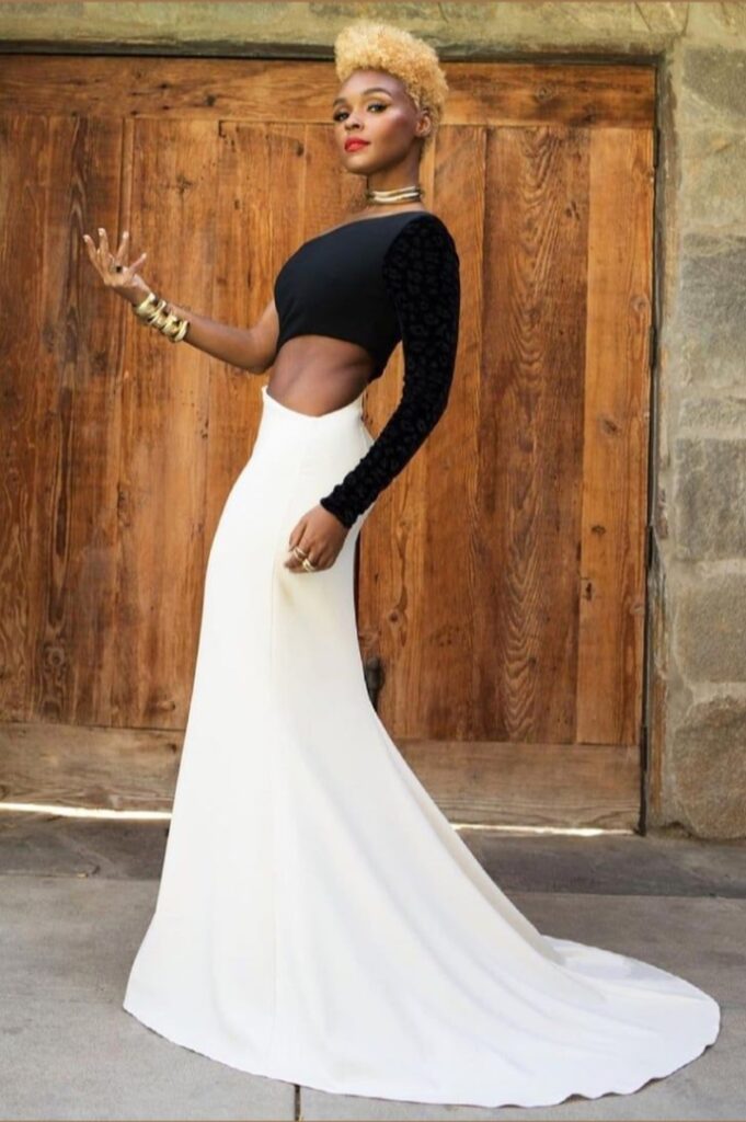 NAACP Awards Janelle