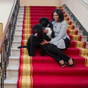 Casual Outfits by Michelle Obama hot