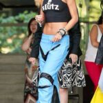 celebrity fashion red carpet moments cover image