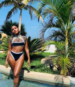 Janelle Monae net top bikini wear