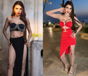 Sherlyn Chopra red carpet dress, hot, fashion