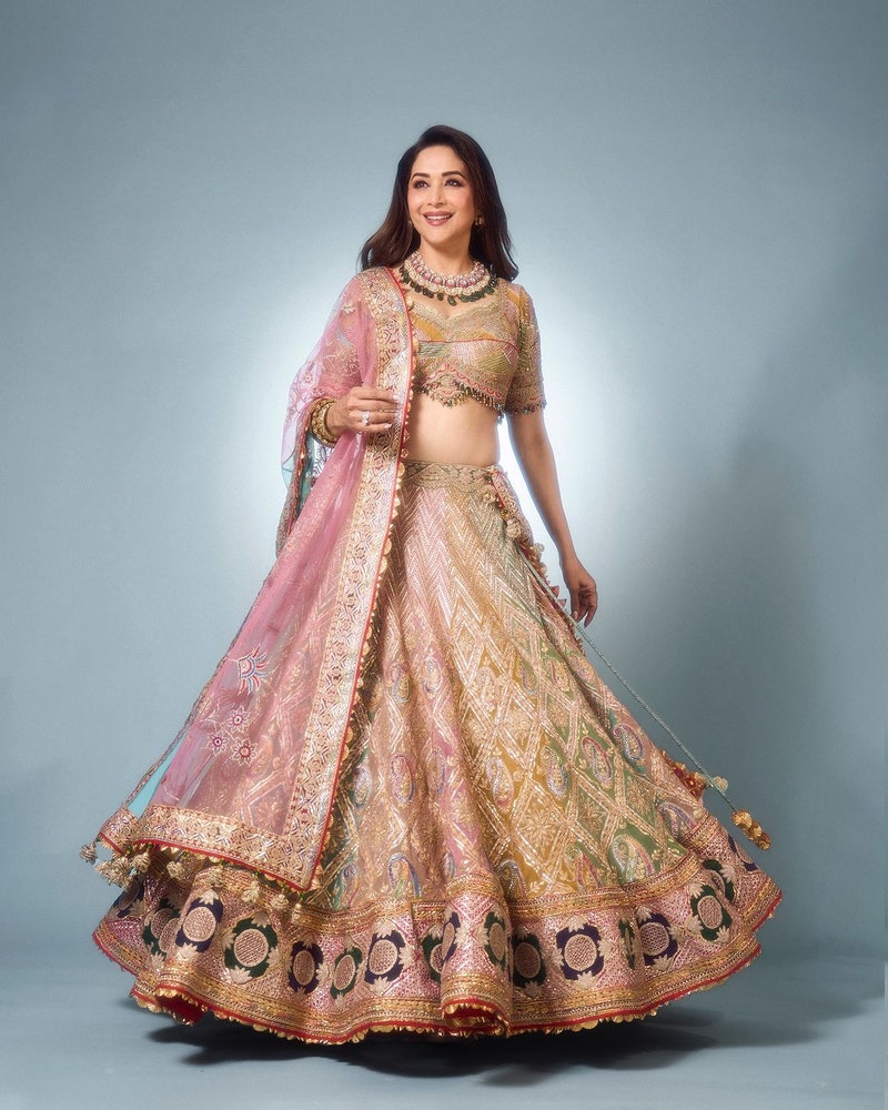 Ambani Wedding Madhuri