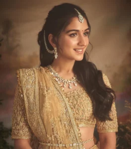 Saree golden accompaniments