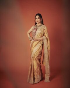 Madhuri Dixit hot saree