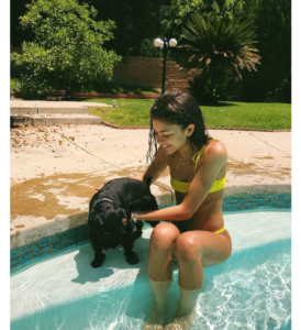 zendaya sexy hot bikini swimsuit