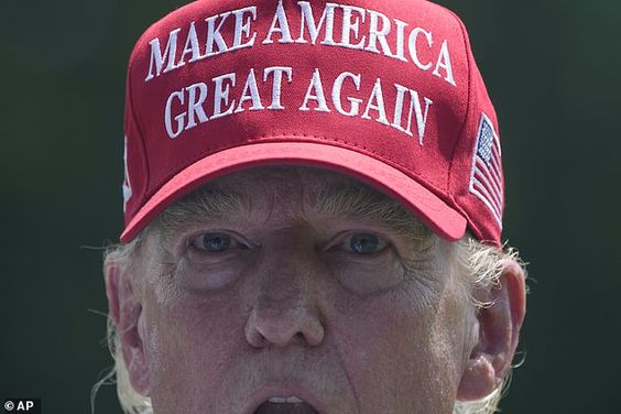 Donald Trump Hat