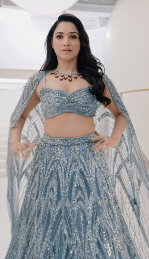 Tamannaah Bhatia Embellished Outfit blue and silver