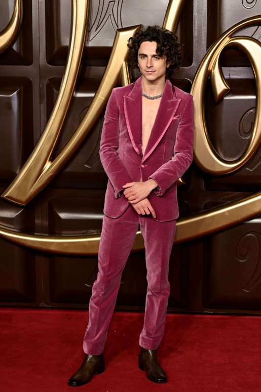  Timothée Chalamet: Youthful Flair Red Carpet Power Suits
